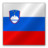 Slovenia flag Icon